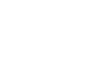 Logo minisite